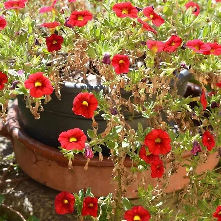 Rectoria De Castellar Holiday home